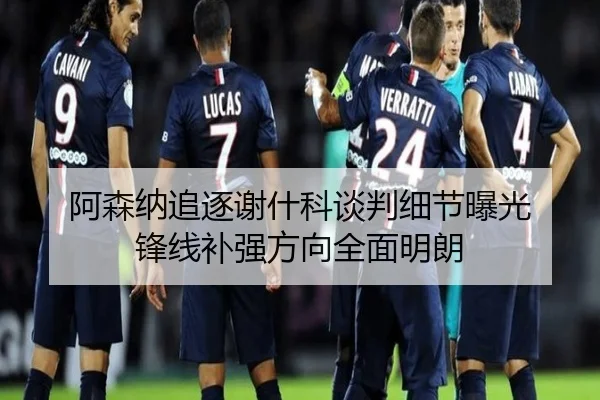 阿森纳追逐谢什科谈判细节曝光 锋线补强方向全面明朗