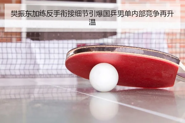 樊振东加练反手衔接细节引爆国乒男单内部竞争再升温